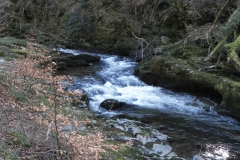 25. Through Long Pool Wood