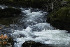 26. Through Long Pool Wood