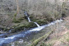27. Through Long Pool Wood