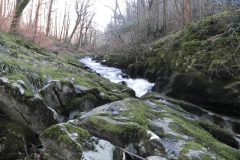 29. Upstream from Ash Pool