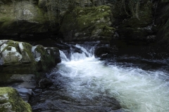 30. Ash Pool