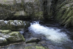 31. Ash Pool