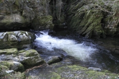 32. Ash Pool