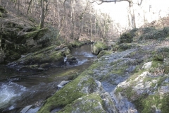 34. Downstream from Ash Pool