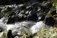 35. Upstream from Ash Bridge