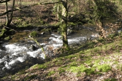 36. Upstream from Ash Bridge