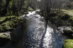 37. Looking Upstream from Ash Bridge
