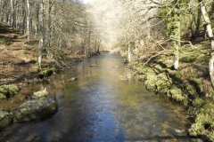 42. Looking downstream from Ash Bridge