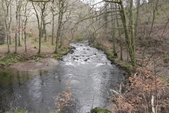 43. Through Barton Wood