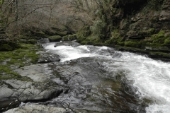 44. Through Barton Wood