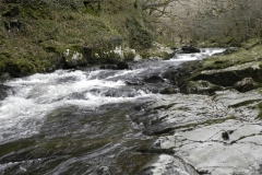 45. Through Barton Wood