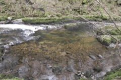 46. Upstream from Watersmeet