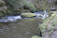 5. Downstream from Alderford