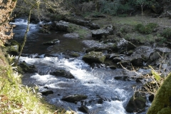 6. Upstream from Rockford