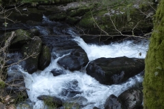 7. Upstream from Rockford