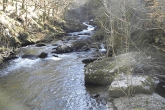 8. Looking upstream from Rockford Bridge