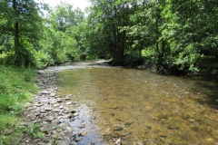 6. Upstream from Milton Bridge (10)-2000x1500