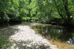 6. Upstream from Milton Bridge (11)-2000x1500