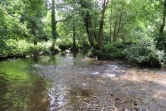 6. Upstream from Milton Bridge (12)-2000x1500
