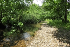 6. Upstream from Milton Bridge (13)-2000x1500