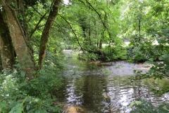 6. Upstream from Milton Bridge (14)-2000x1500