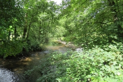 6. Upstream from Milton Bridge (15)-2000x1500