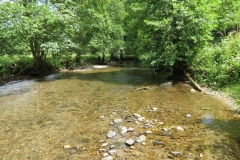 6. Upstream from Milton Bridge (16)-2000x1500