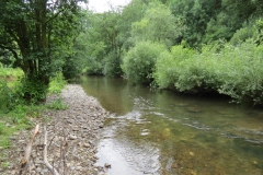 6. Upstream from Milton Bridge (17)-2000x1500