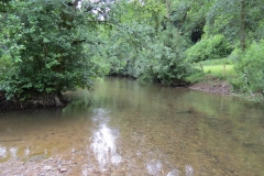 6. Upstream from Milton Bridge (18)-2000x1500