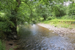 6. Upstream from Milton Bridge (4)-2000x1500