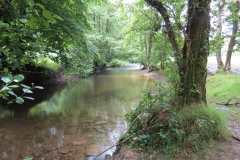 6. Upstream from Milton Bridge (5)-2000x1500