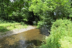 6. Upstream from Milton Bridge (6)-2000x1500