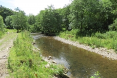 6. Upstream from Milton Bridge (7)-2000x1500