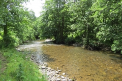 6. Upstream from Milton Bridge (8)-2000x1500