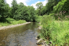 6. Upstream from Milton Bridge (9)-2000x1500