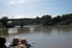 IMG_1337_edited