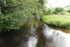11. Exebridge fish ponds leat