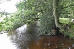 11b. Exebridge fish ponds leat