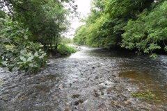 14. Weir for leat to Exebridge Fish Ponds