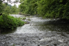 15. Weir for leat to Exebridge Fish Ponds