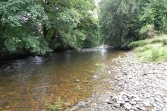 16. Downstream from Weir