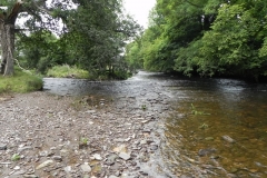 17. Downstream from Weir