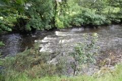 18. Downstream from Weir