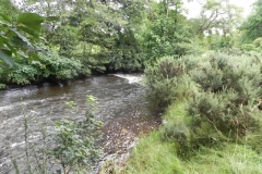 19. Downstream from Weir
