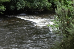 20. Downstream from Weir