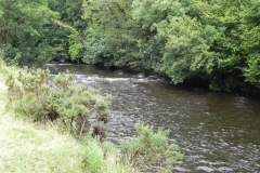 22. Downstream from Weir
