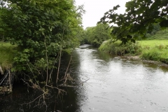 23. Upstream from confluence with River Exe