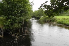 24. Upstream from confluence with River Exe