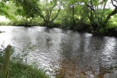 26. Upstream from confluence with River Exe