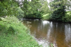27. Upstream from confluence with River Exe
